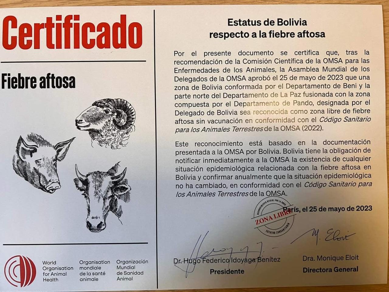 Certificado de Estatus Bolivia
