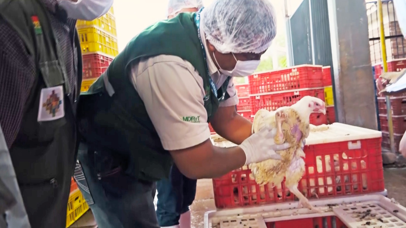 Fideicomiso Bolivia 3