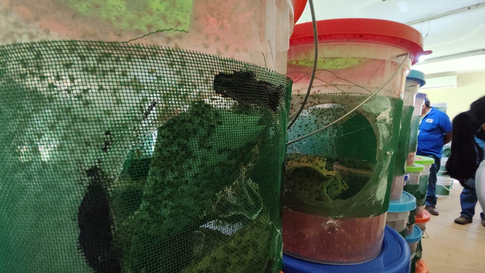 WhatsApp Image 2023 12 28 at 3.40.56 PM 1