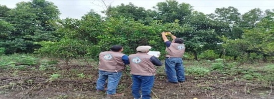 SENASAG Tarija fortalece la vigilancia fitosanitaria y la protección de la producción agrícola en el municipio de Yacuiba