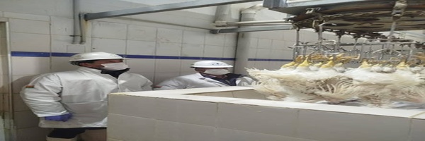 SENASAG Chuquisaca realiza inspección sanitaria en matadero avícola