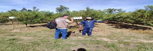 SENASAG Tarija fortalece la vigilancia fitosanitaria de la Mosca de la Fruta en el municipio de Cercado  