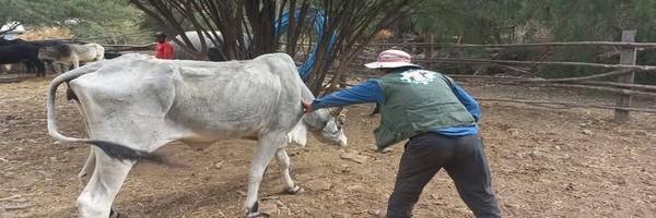 SENASAG Potosí fortalece acciones de vigilancia en atención de enfermedades de Notificación Obligatoria