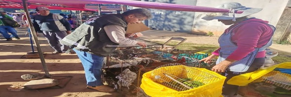 SENASAG fortalece la vigilancia epidemiológica para preservar el estatus sanitario de la avicultura en Santa Cruz