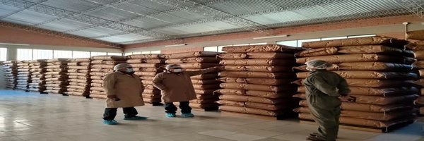 SENASAG Chuquisaca realiza inspección técnica fitosanitaria a un lote de orégano destinado a la exportación  