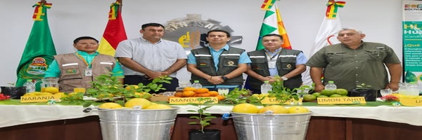 SENASAG Beni impulsa la protección citrícola frente a la amenaza del HLB mediante control estratégico y vigilancia permanente  