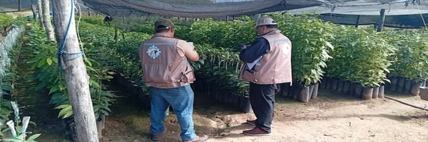 SENASAG Tarija fortalece la inspección a viveros en el municipio de Bermejo