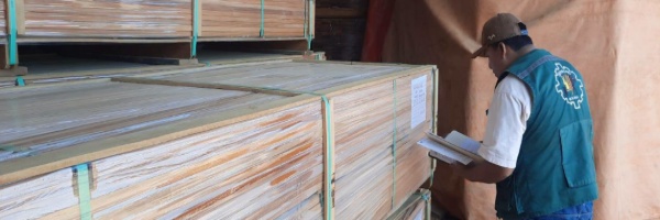 SENASAG Pando SENASAG realizó Inspección In Situ, de tratamiento fitosanitario
