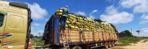 SENASAG Pando realiza Inspecciones In Situ en el municipio del Porvenir