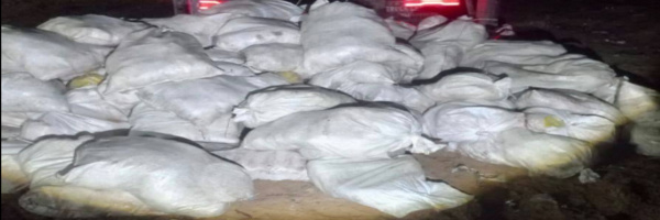 SENASAG destruye ocho toneladas de pollo no apto para consumo humano bajo responsabilidad del Gobierno Autónomo Municipal de La Paz