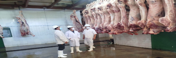 SENASAG Chuquisaca fortalece el control sanitario y Buenas Prácticas de Manufactura (BPM)  