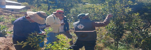 SENASAG Potosí capacita a productores en Buenas Prácticas Agrícolas y uso de bioplaguicidas