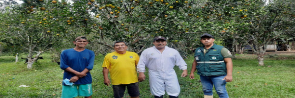 SENASAG Pando realiza campaña Fitosanitaria con productores agrícolas de cítricos