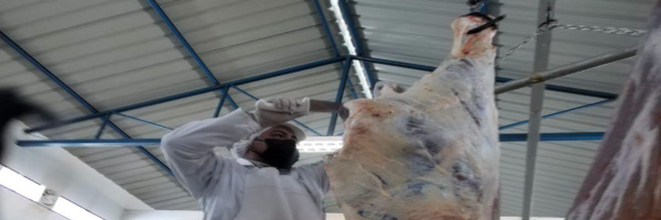 SENASAG Potosí realiza inspección y toma de muestra en el matadero municipal de Uyuni  