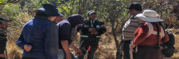 SENASAG Chuquisaca fortalece capacidades sobre poda en cultivos frutales en el Distrito 8 de Sucre  