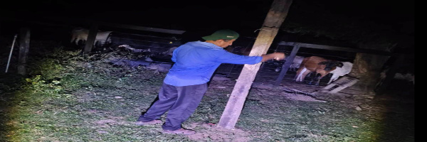 SENASAG Beni ejecuta captura de murciélagos hematófagos para fortalecer el control y prevención de la rabia