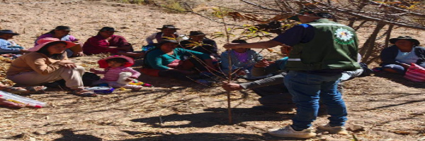 SENASAG Chuquisaca fortalece capacidades de productores frutícolas en Poroma