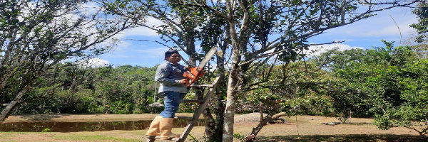 SENASAG Pando realiza asistencia técnica a productores agrícola  