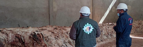 SENASAG Potosí realiza inspección y control en centros de faena de ganado bovino y porcino  