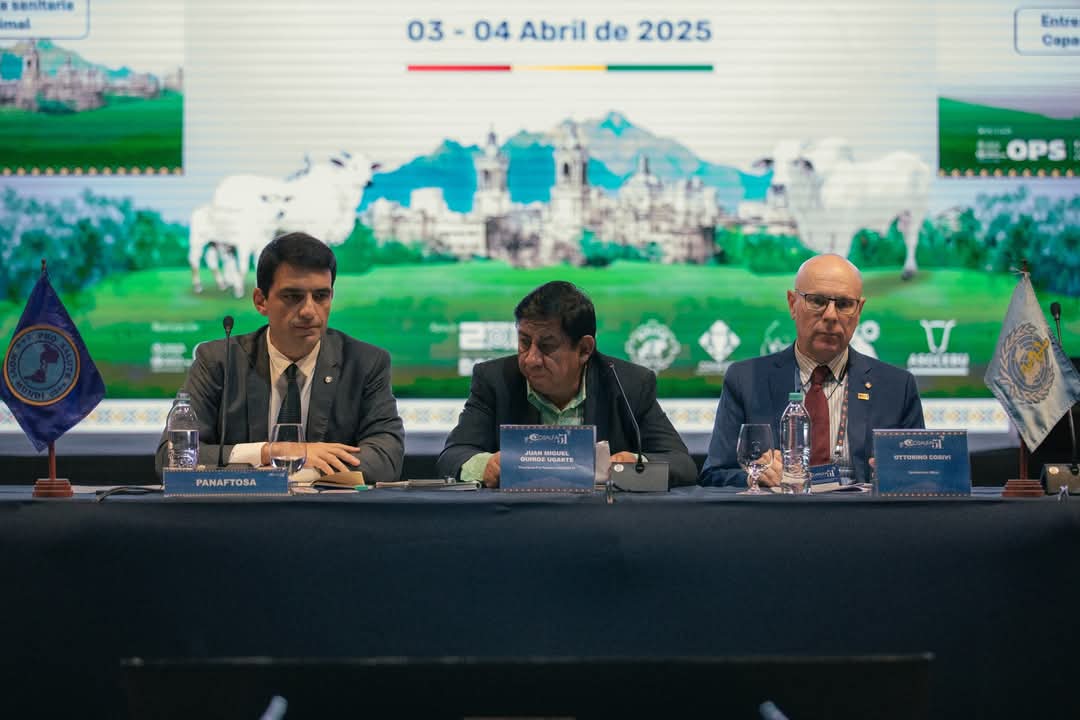 WhatsApp Image 2025 04 03 at 2.04.09 PM 6