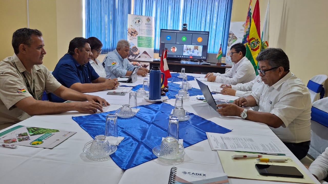 WhatsApp Image 2025 02 19 at 2.33.41 PM 6