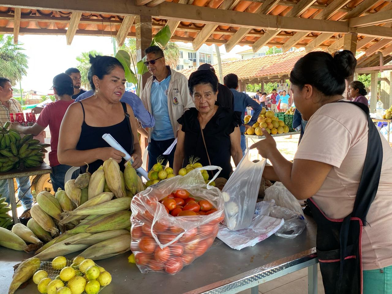 WhatsApp Image 2025 03 21 at 4.33.30 PM