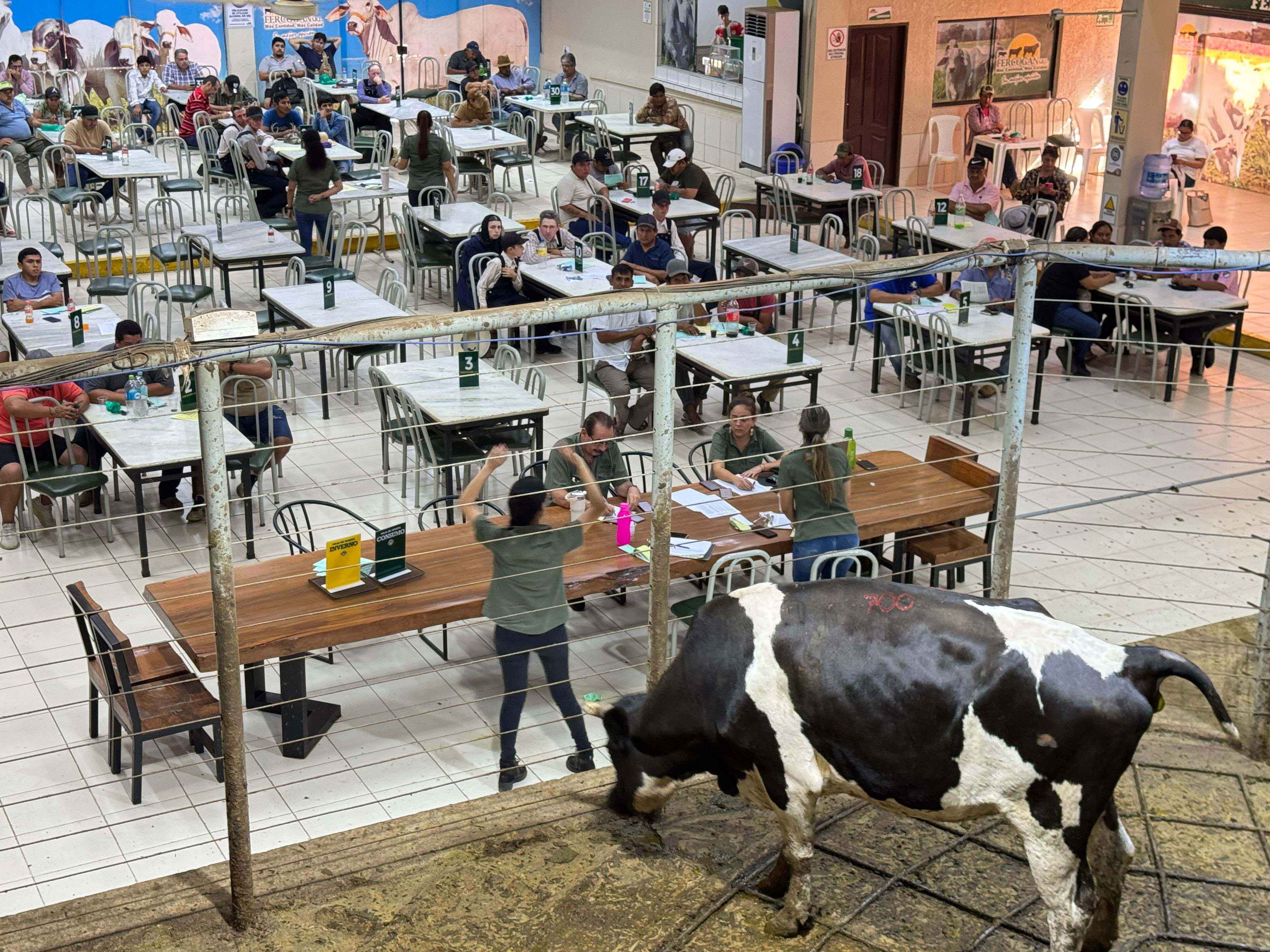 WhatsApp Image 2025 01 15 at 4.50.00 PM