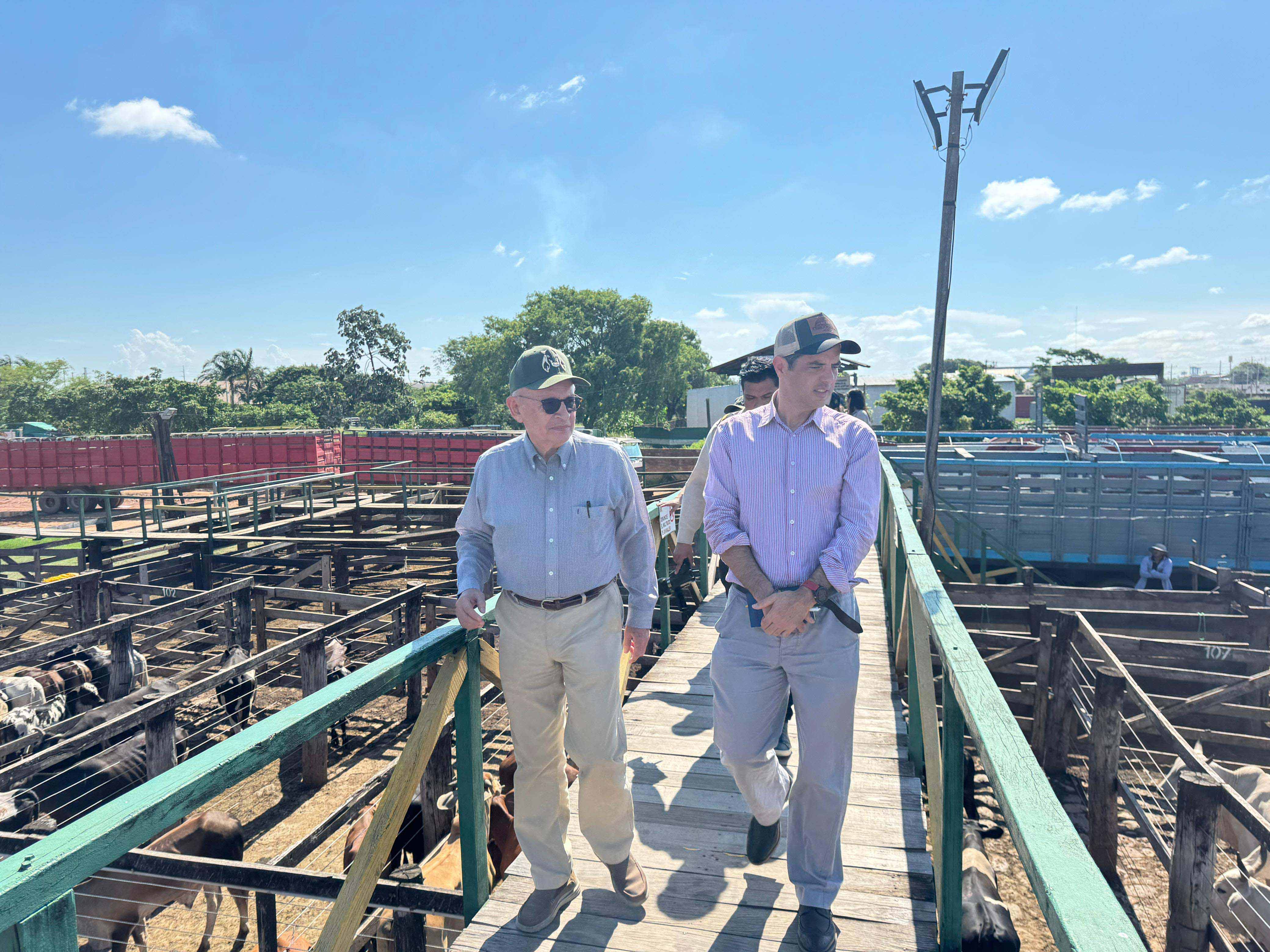 WhatsApp Image 2025 01 15 at 4.50.00 PM 2