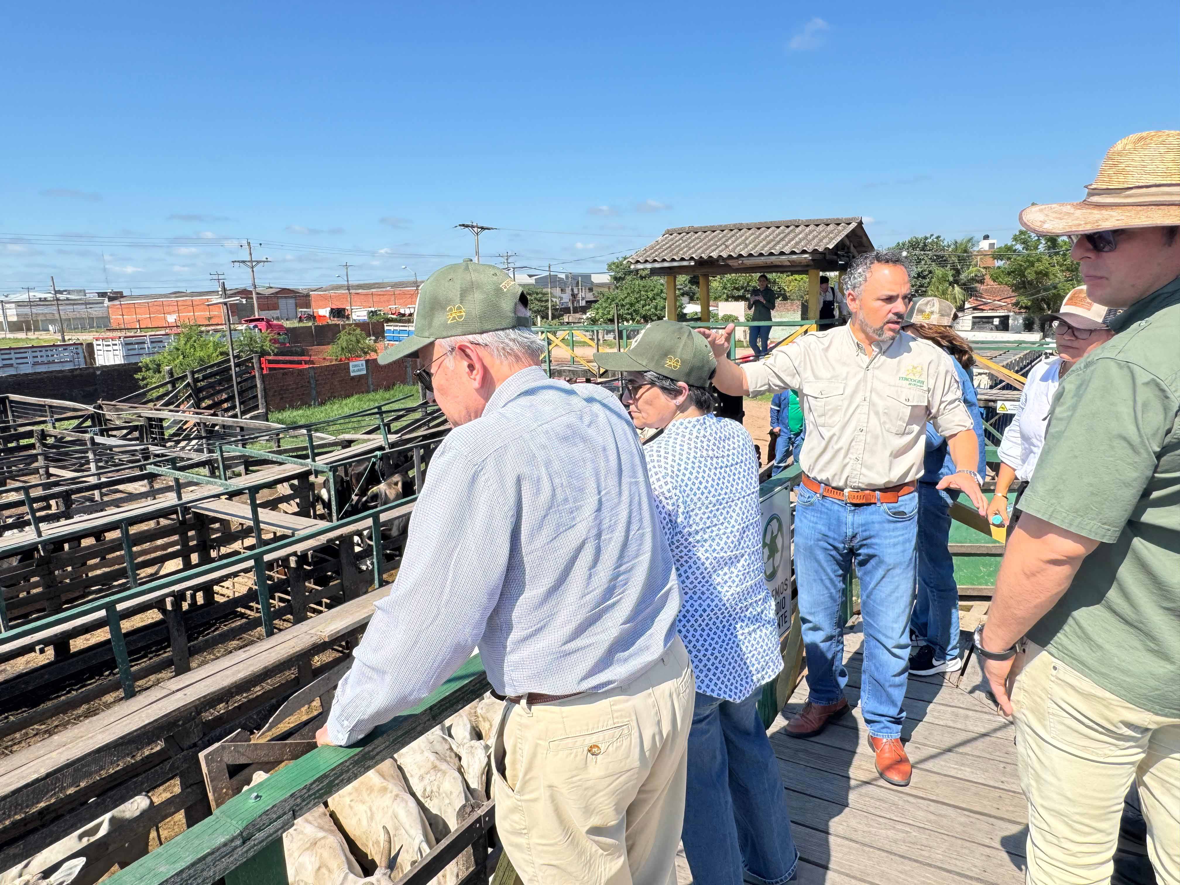 WhatsApp Image 2025 01 15 at 4.50.01 PM