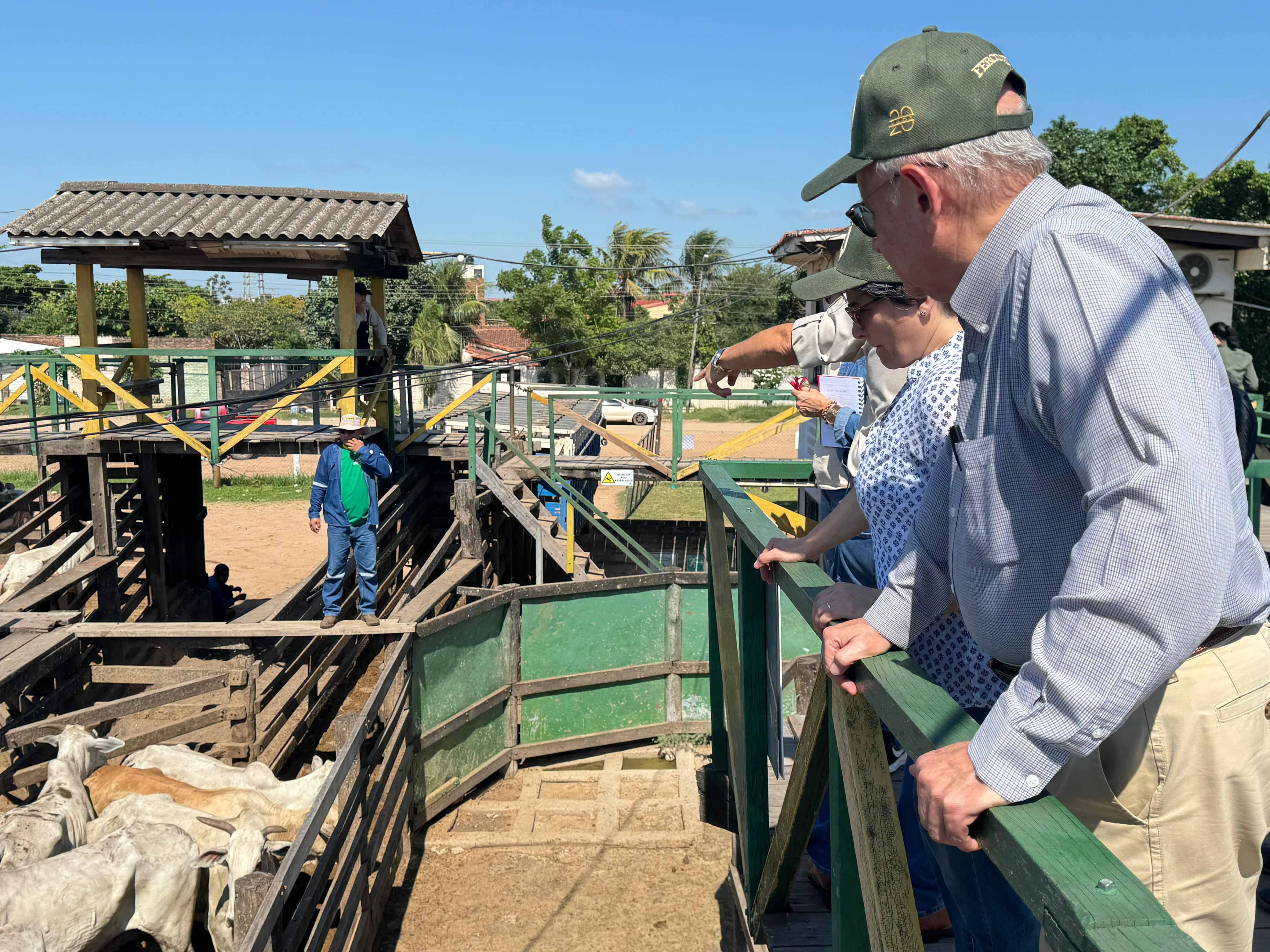 WhatsApp Image 2025 01 15 at 4.50.01 PM 1