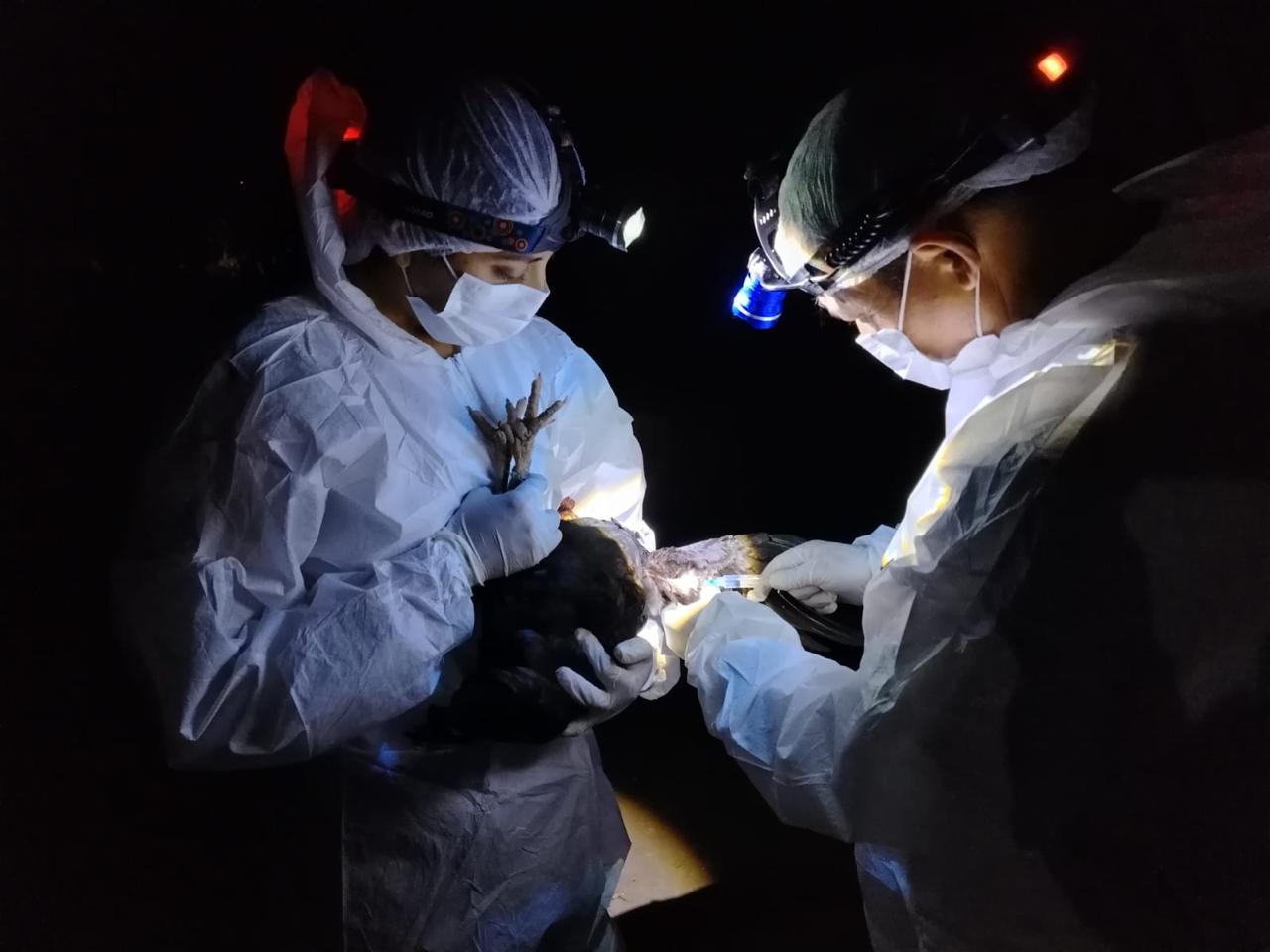 WhatsApp Image 2025 09 05 at 10.24.07 AM 3