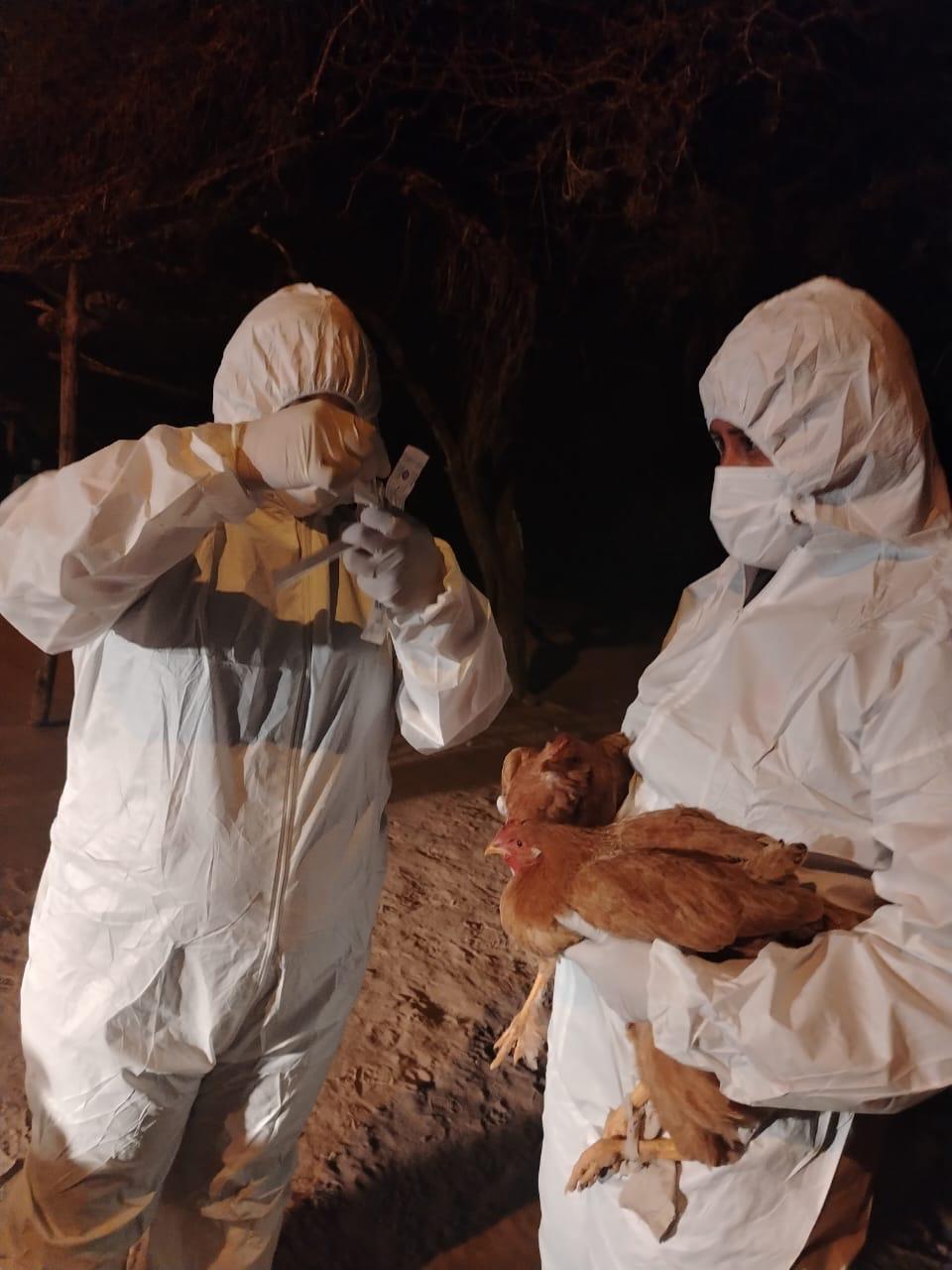 WhatsApp Image 2025 09 05 at 10.24.07 AM 4