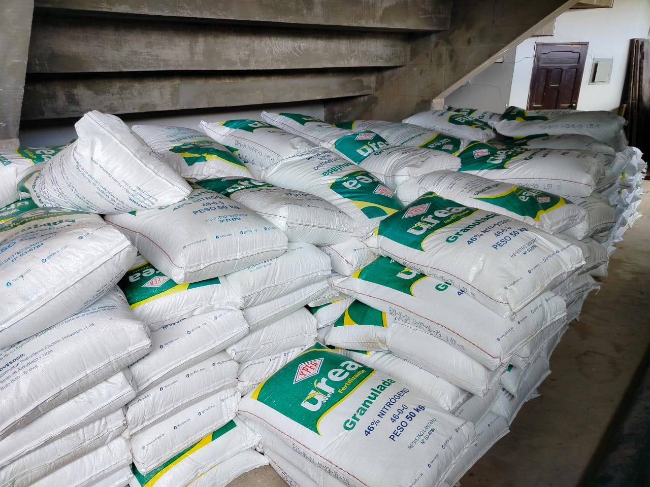 WhatsApp Image 2025 02 28 at 6.07.23 PM 1