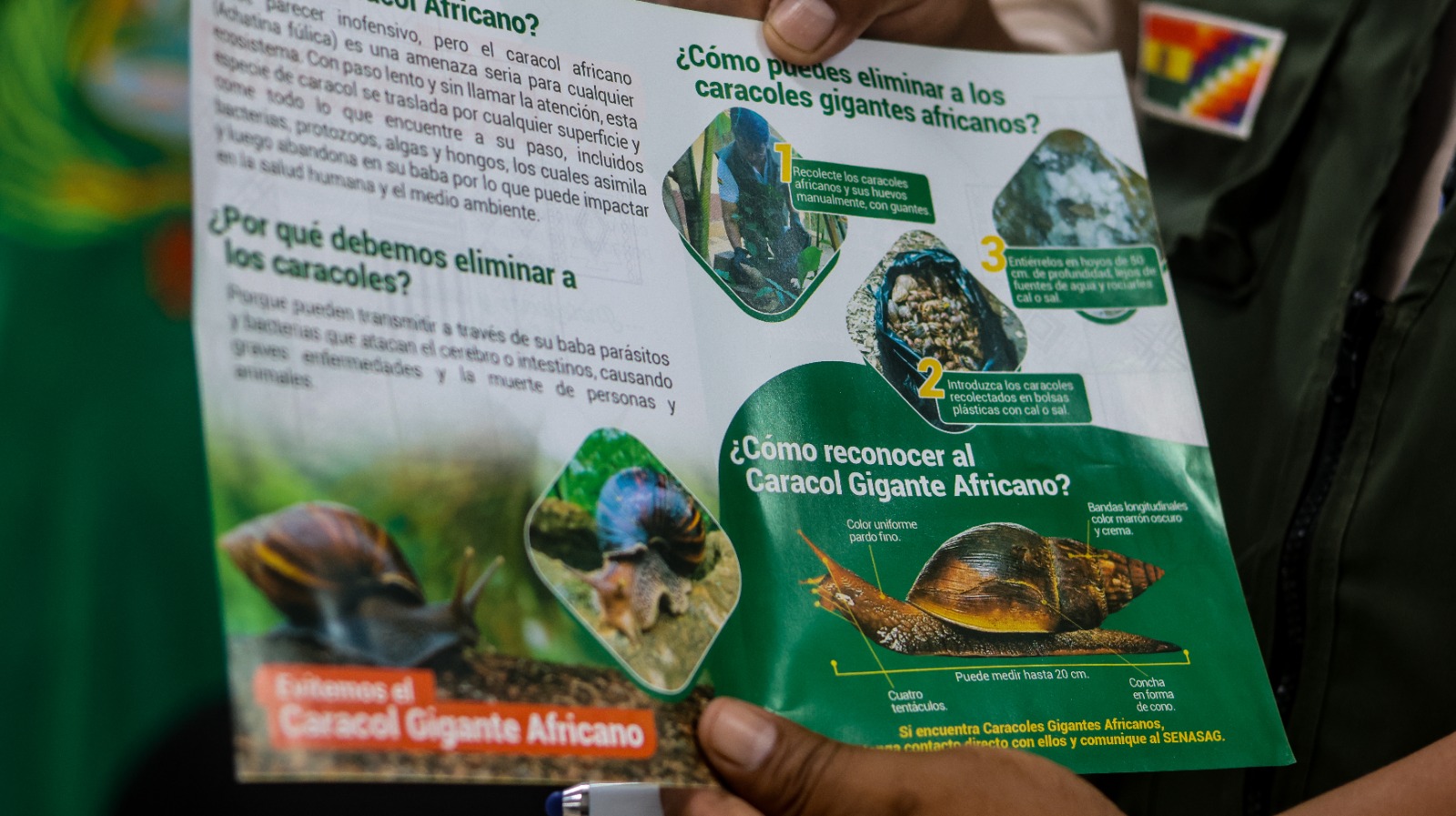 WhatsApp Image 2025 02 05 at 12.14.15 PM