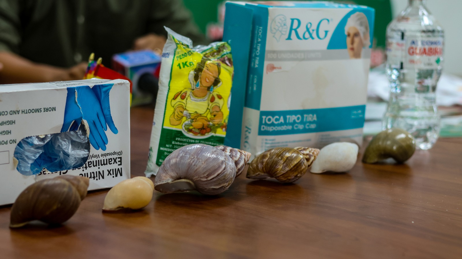 WhatsApp Image 2025 02 05 at 12.14.17 PM