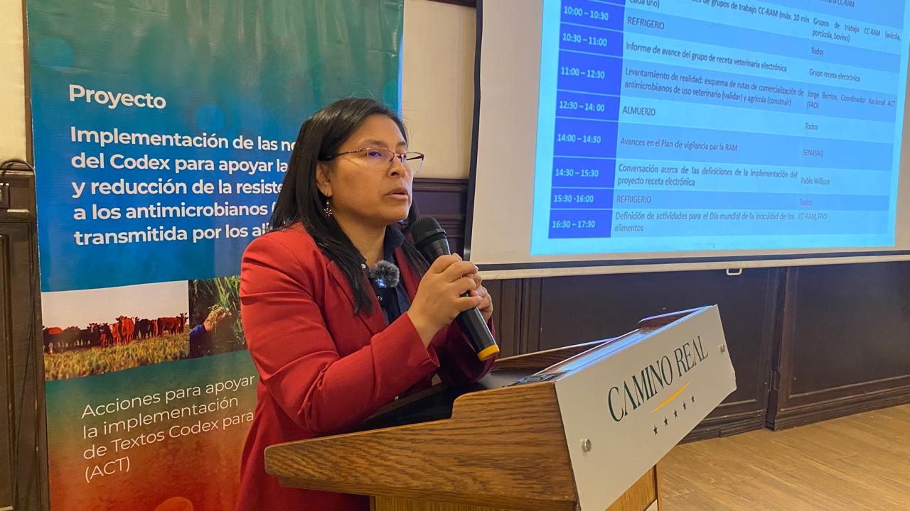 WhatsApp Image 2025 04 02 at 2.01.52 PM 1