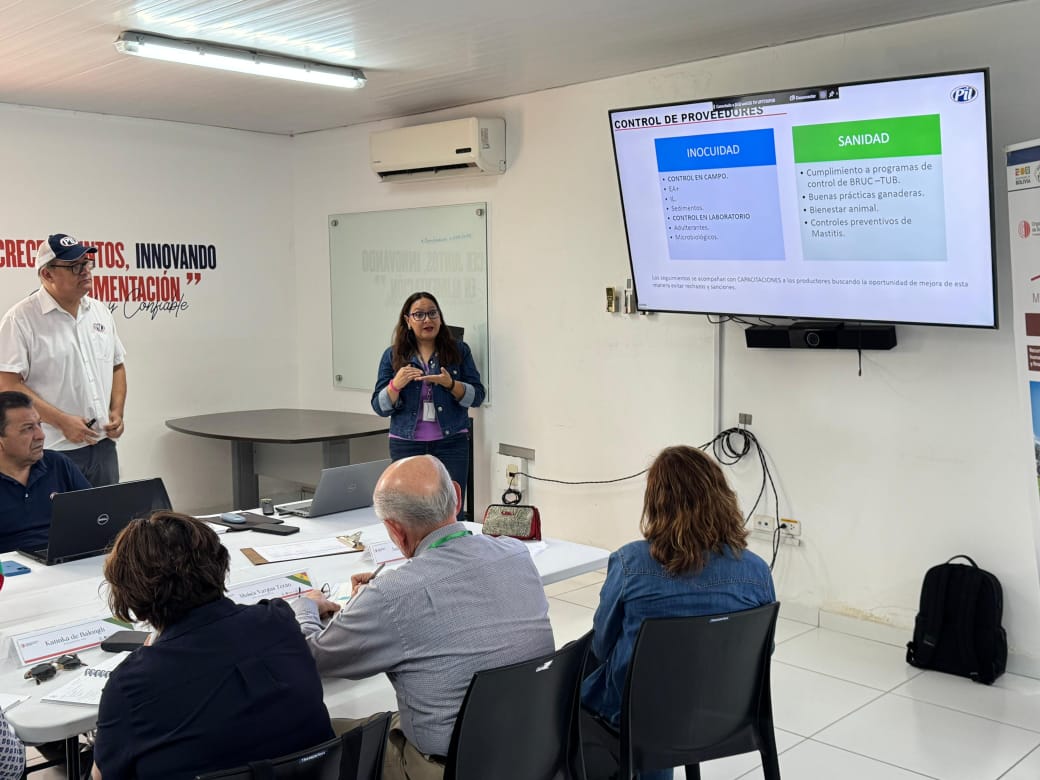 WhatsApp Image 2025 01 15 at 10.43.53 AM 1