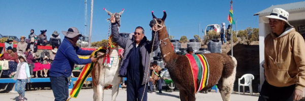 EL SENASAG LA PAZ PARTICIPA EN FERIAS DE EXPOSICIÓN Y PROMOCIÓN PRODUCTIVA, EN LOS MUNICIPIOS DE PUCARANI, CALACOTO Y CHARAÑA  
