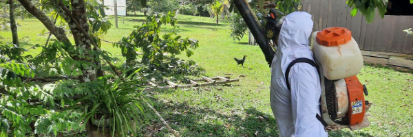 SENASAG Pando brinda apoyo técnico y capacita a productores en Manejo Integrado de Plagas  