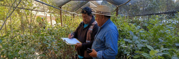 SENASAG Tarija realiza fiscalización de viveros en el municipio de Cercado  