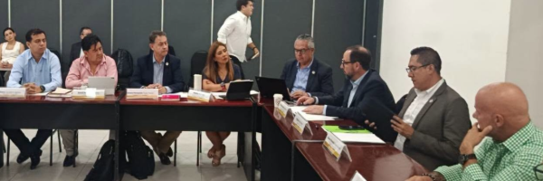 SENASAG participa de la III Reunión Extraordinaria del Comité Nacional de Facilitación del Comercio
