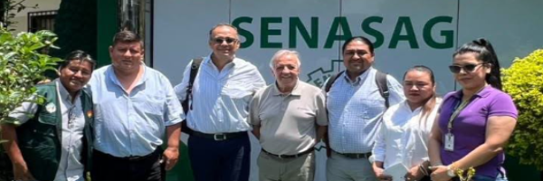 SENASAG capacita a Médicos Veterinarios en Áreas de Sanidad Animal  