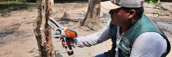 SENASAG Pando brinda asistencia técnica en poda y control de la enfermedad en cultivos de cítricos