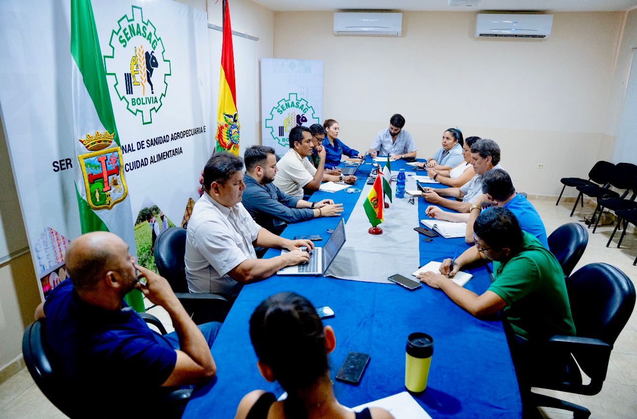 SENASAG PARTICIPA EN REUNIÓN TÉCNICA DEL CODEPOR PARA FORTALECER EL SECTOR PORCINO
