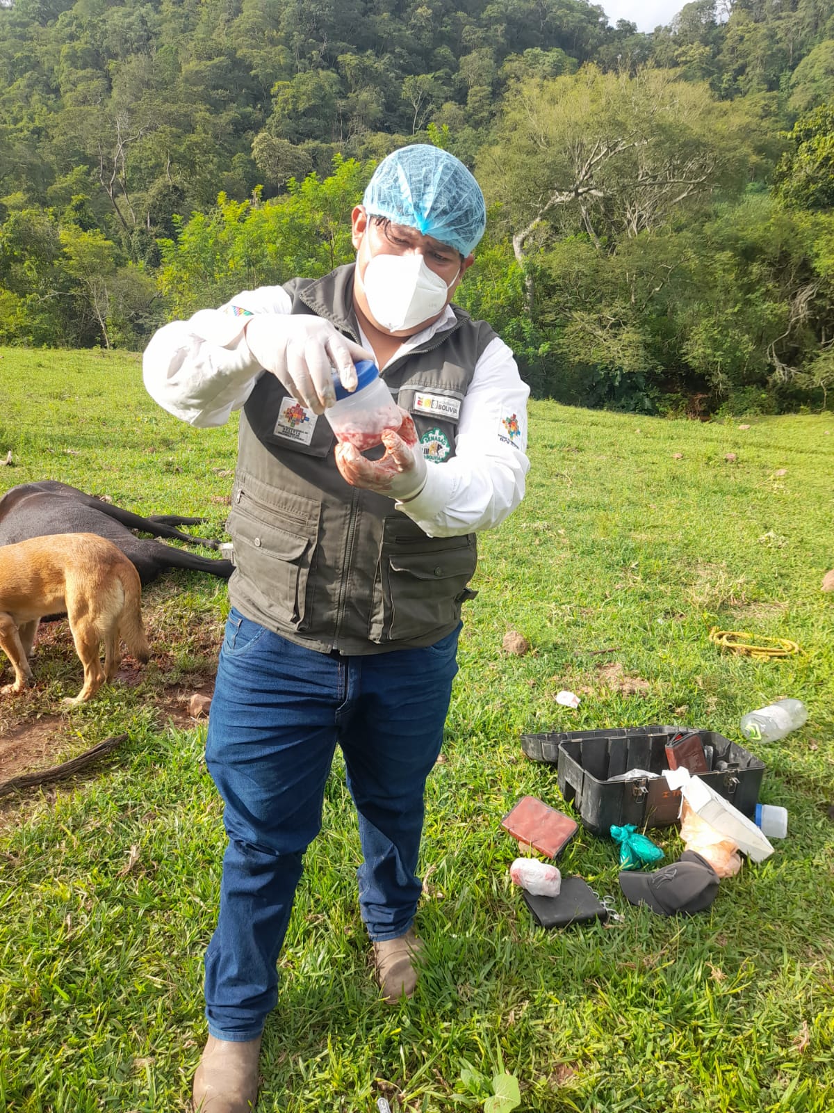 SENASAG CHUQUISACA INTENSIFICA VIGILANCIA EPIDEMIOLÓGICA ANTE SOSPECHA DE PATOLOGÍA NERVIOSA EN GANADO BOVINO