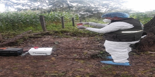 SENASAG Chuquisaca realizó toma de muestras ante sospecha de enfermedad nerviosa en bovinos en la comunidad Santa María del municipio de Huacareta